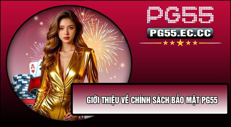 Giới thiệu về Chính Sách Bảo Mật PG55