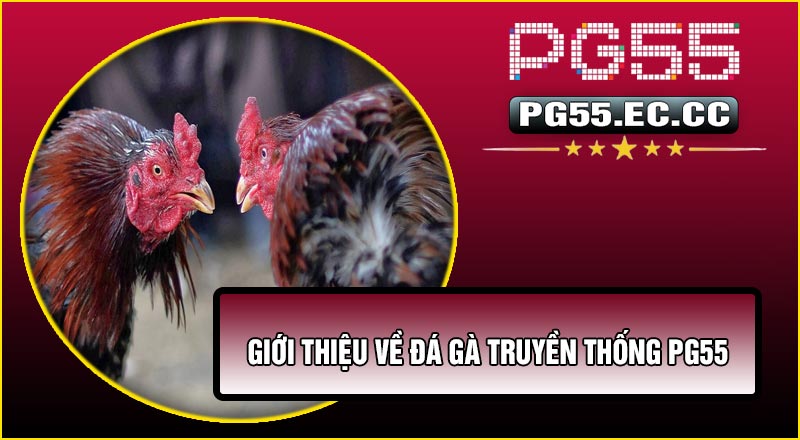 Giới thiệu về Đá Gà Truyền Thống PG55