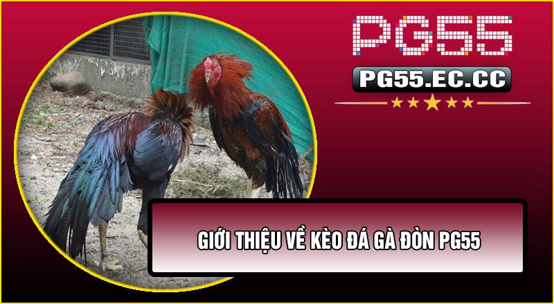 Giới thiệu về Kèo Đá Gà Đòn PG55