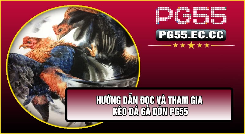 Hướng dẫn đọc và tham gia Kèo Đá Gà Đòn PG55