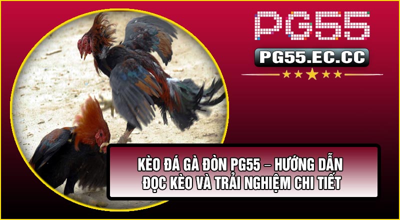 Kèo Đá Gà Đòn PG55 – Hướng Dẫn Đọc Kèo Và Trải Nghiệm Chi Tiết