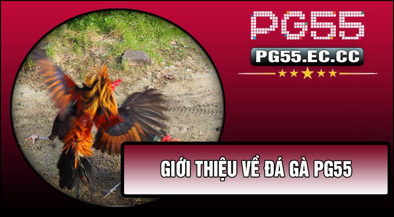 Giới thiệu về Đá Gà PG55