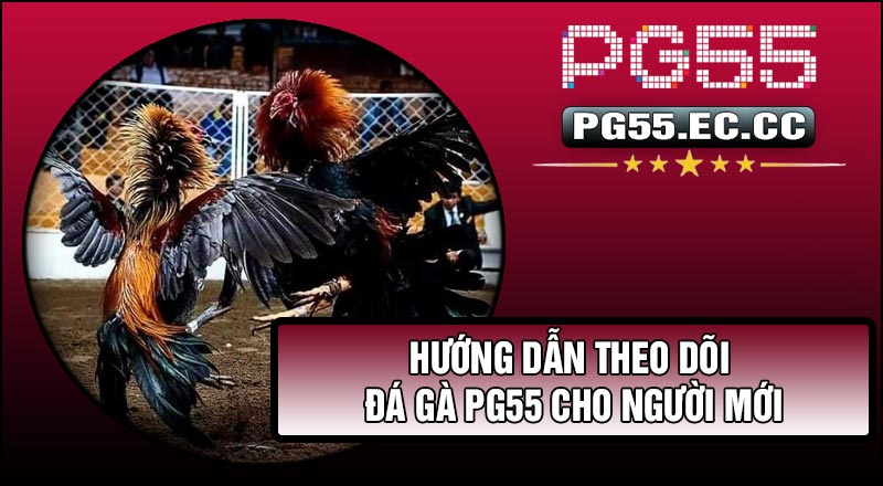 Hướng dẫn theo dõi Đá Gà PG55 cho người mới