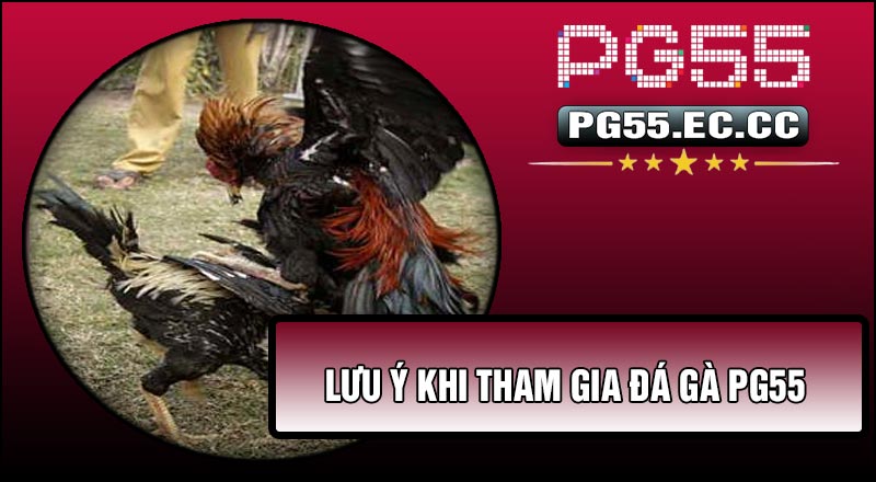 Lưu ý khi tham gia Đá Gà PG55